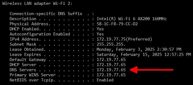 03 - PC DNS.png