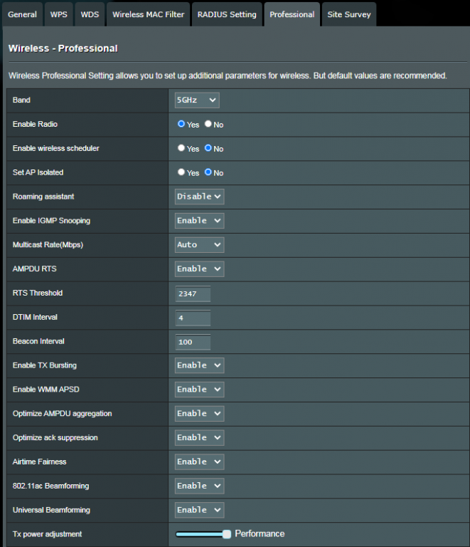 1900P 5GHz Professional Settings.png