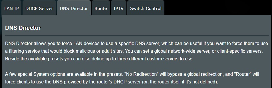 DNS Director.jpg