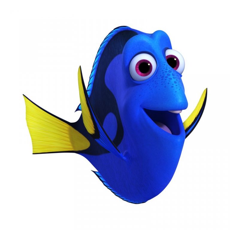 Dory.jpg