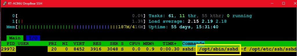 htop_OpenSSH_process.jpg