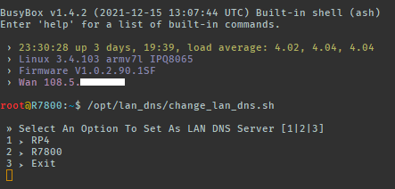 lan-dns-script.png