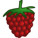 raspberry-icon.png