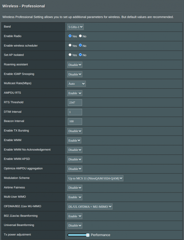 Settings 5 GHz Professional.png