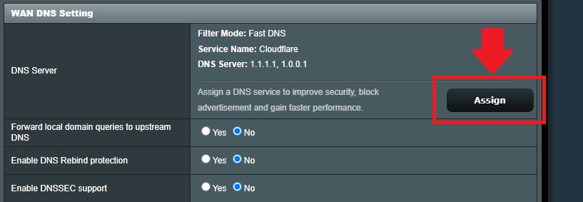 wanassigndns.jpg