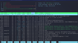 htop.png