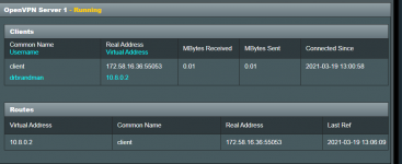 Open VPN Connect1.png