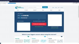 Website showing ip address.jpg