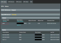 30-20220129 OpenVPN Server-Status_Redacted.png