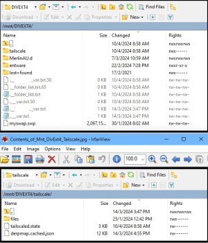 Contents_of_Mnt_DivExt4_Tailscale.jpg