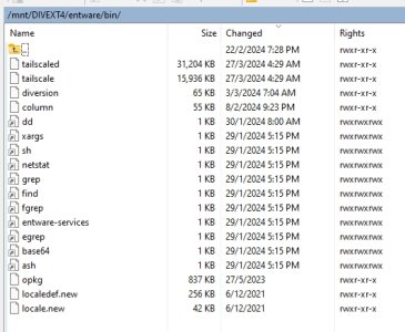 Contents_of_Mnt_DivExt4_entware_bin.jpg