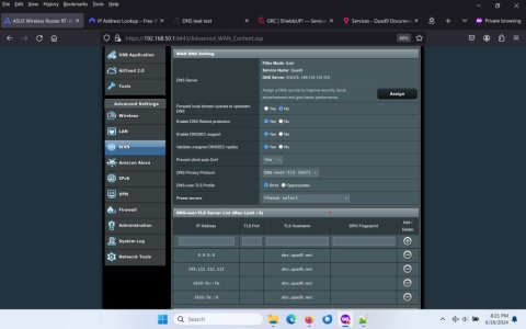WAN_DNS_Settings_Quad9.jpeg