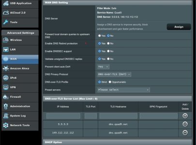 Quad9_WAN_DNS_Setting_n_DoT.jpg