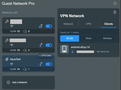 Guest Network Pro VPN Clients.jpg