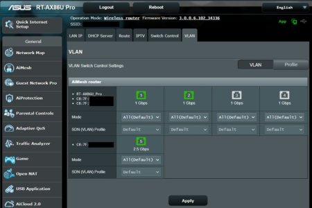 VLAN Switch.jpg